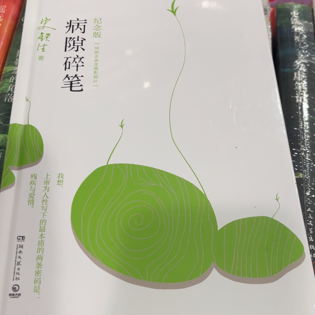 病隙碎笔精装一个