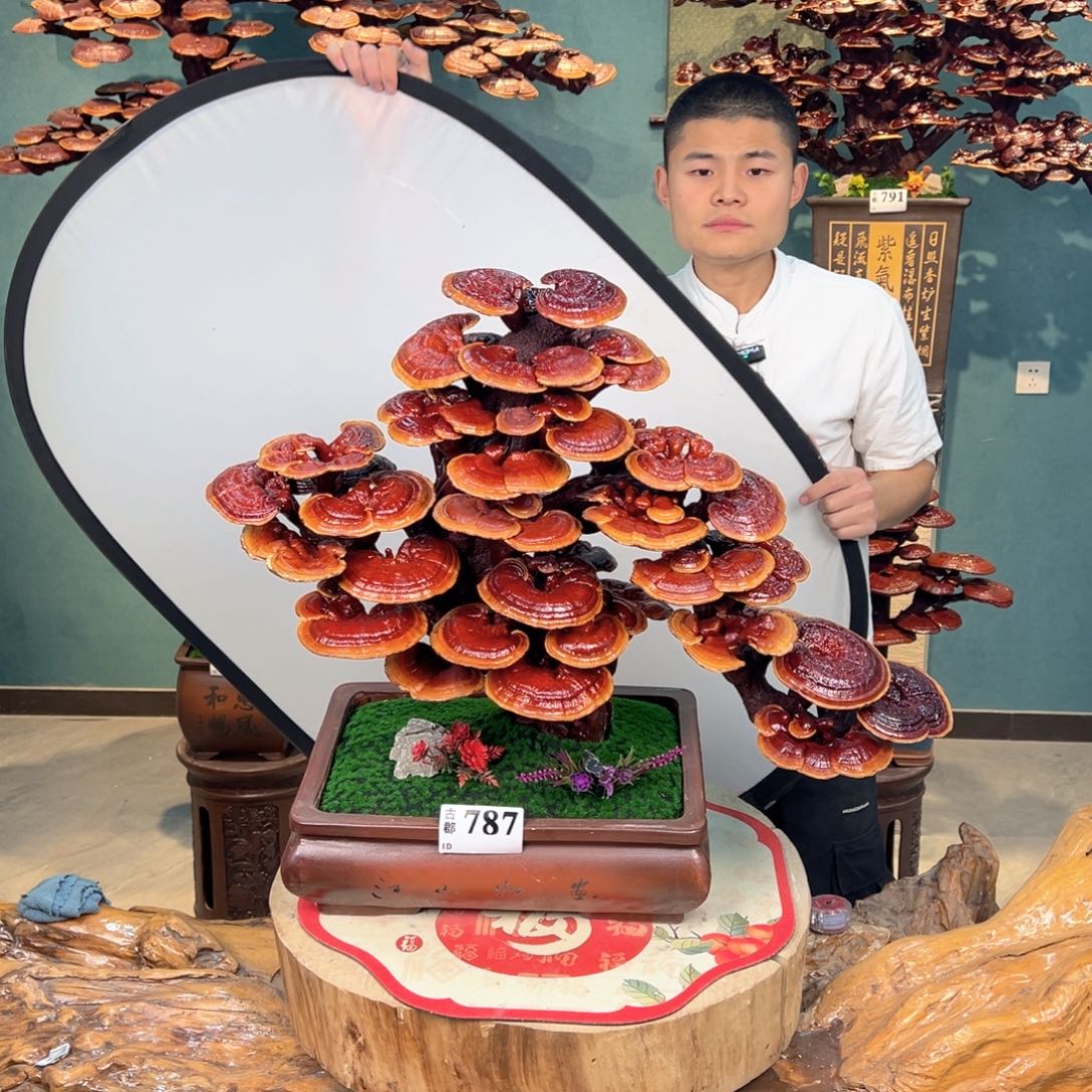 无花朵888888888888