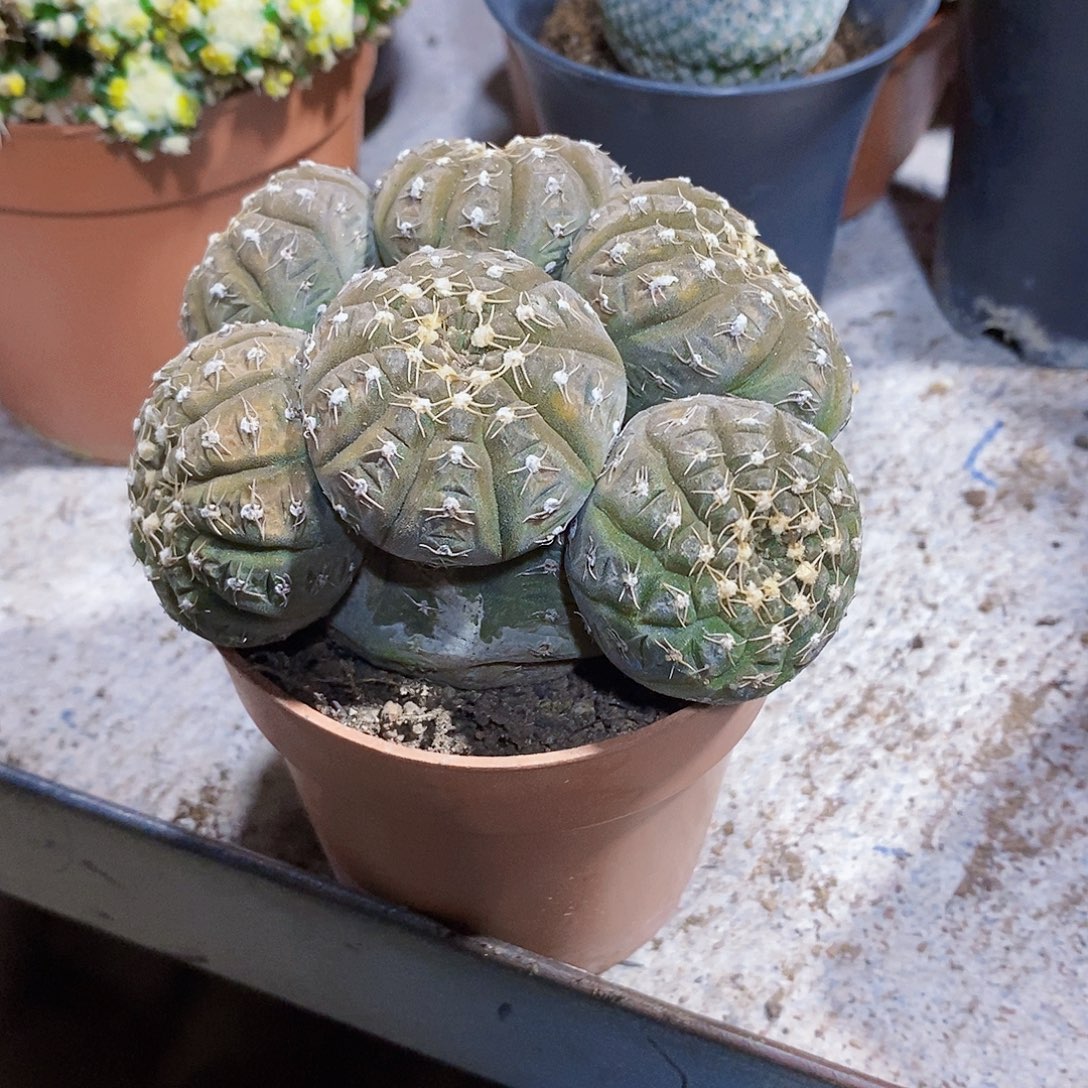 拉根11111111111111个