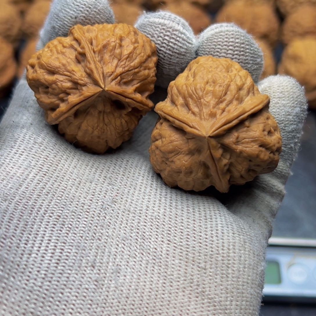 老*38尺寸水晶三棱 一物一图