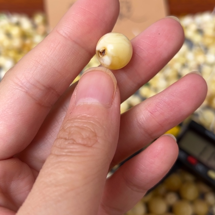 蜜蜡未镶嵌裸石11.8mm一个