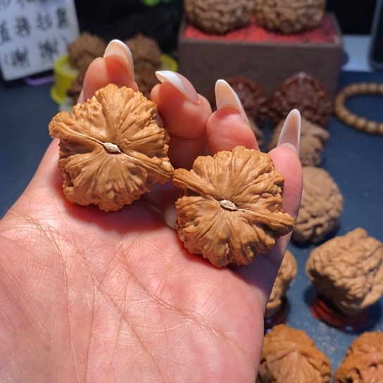 把件文玩核桃文玩白狮子39尺全品