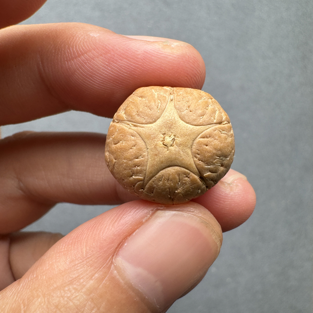 精品20+五星上将菩提凤眼菩提三通佛头，非质量问题开孔不退