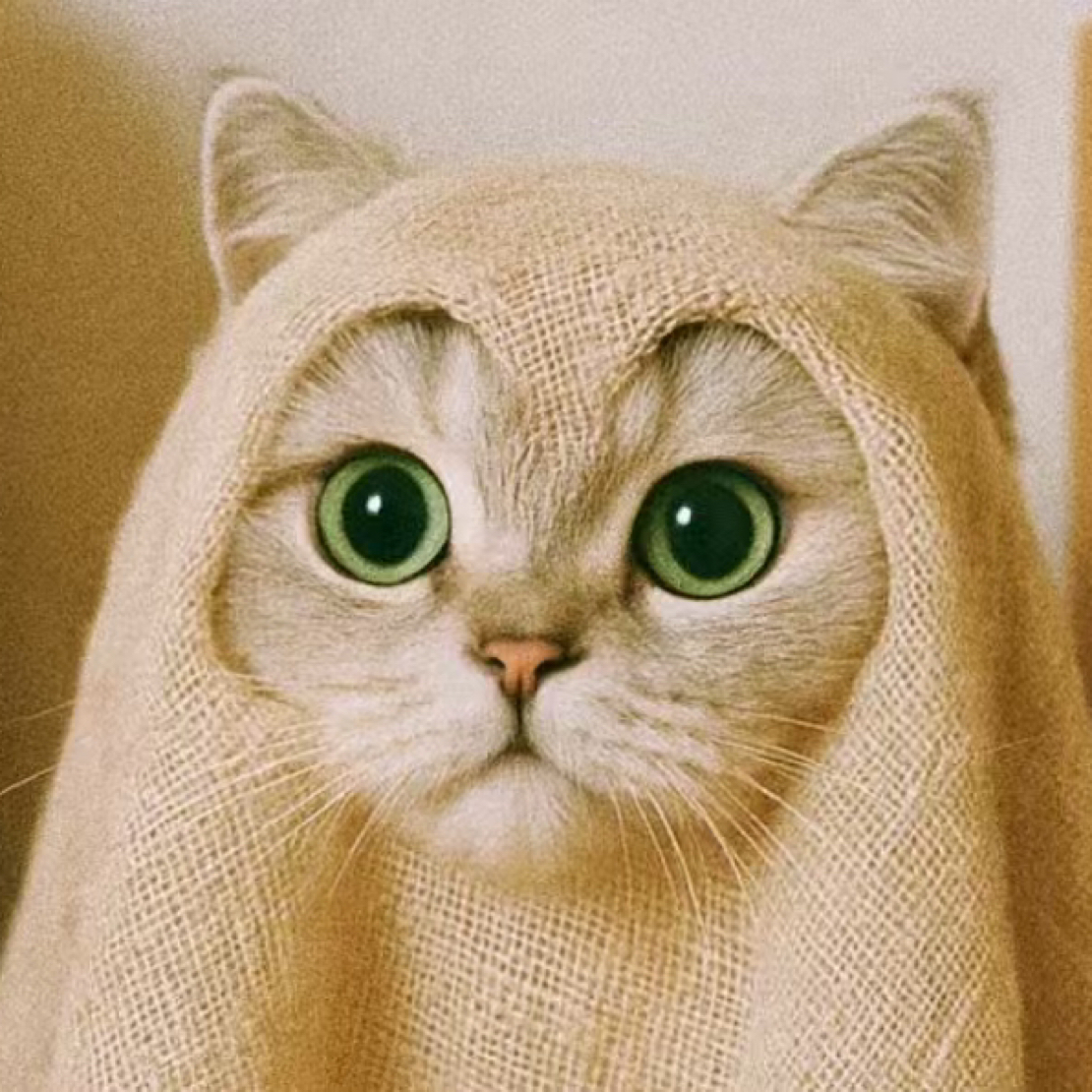 A  （19.9～39.9）冬季杂款 