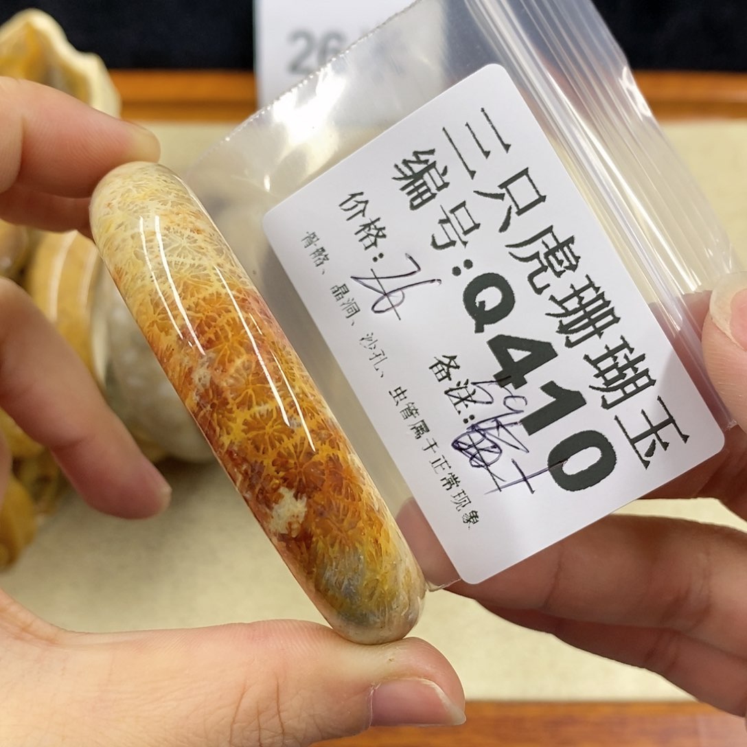 硅化珊瑚（珊瑚玉）1未镶嵌曾**时