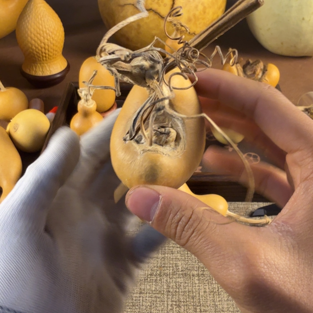 葫芦葫芦葫芦葫芦葫芦