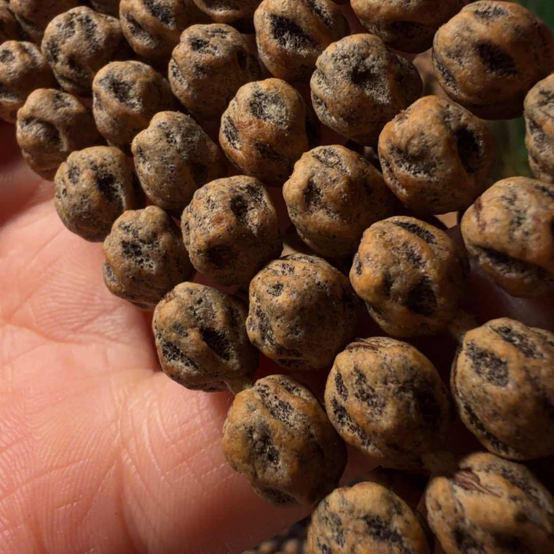 柏香籽/百香籽吊坠