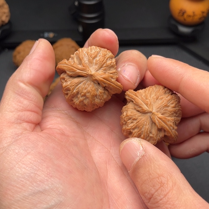 颜***色文玩核桃把件白狮子40.5