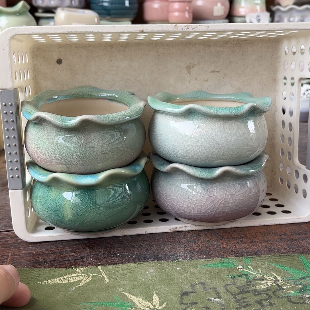 量货/口8高6深浅搭配发4