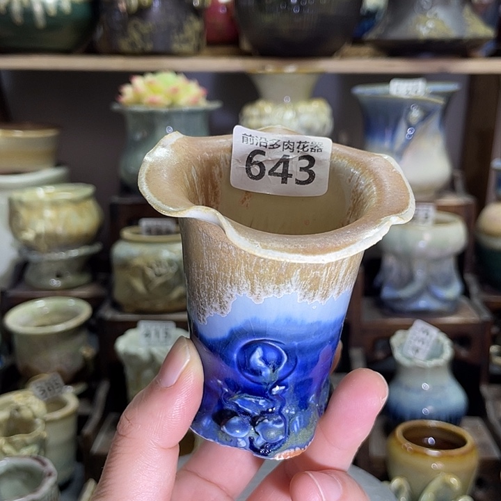 狼盆内口径5高度7