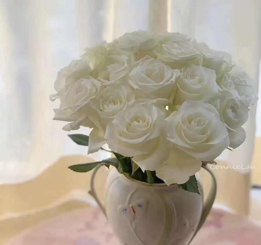 折射10枝+白玫瑰10枝云南鲜花基地直发