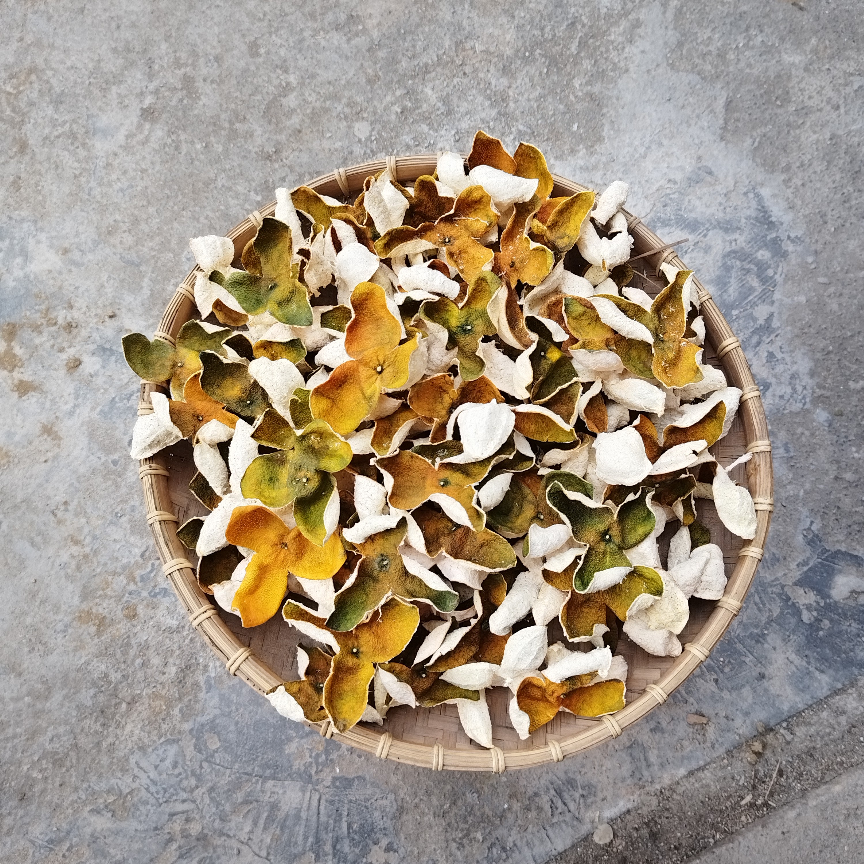 广西浦北县2025年茶枝柑6到12年树龄（二红皮）