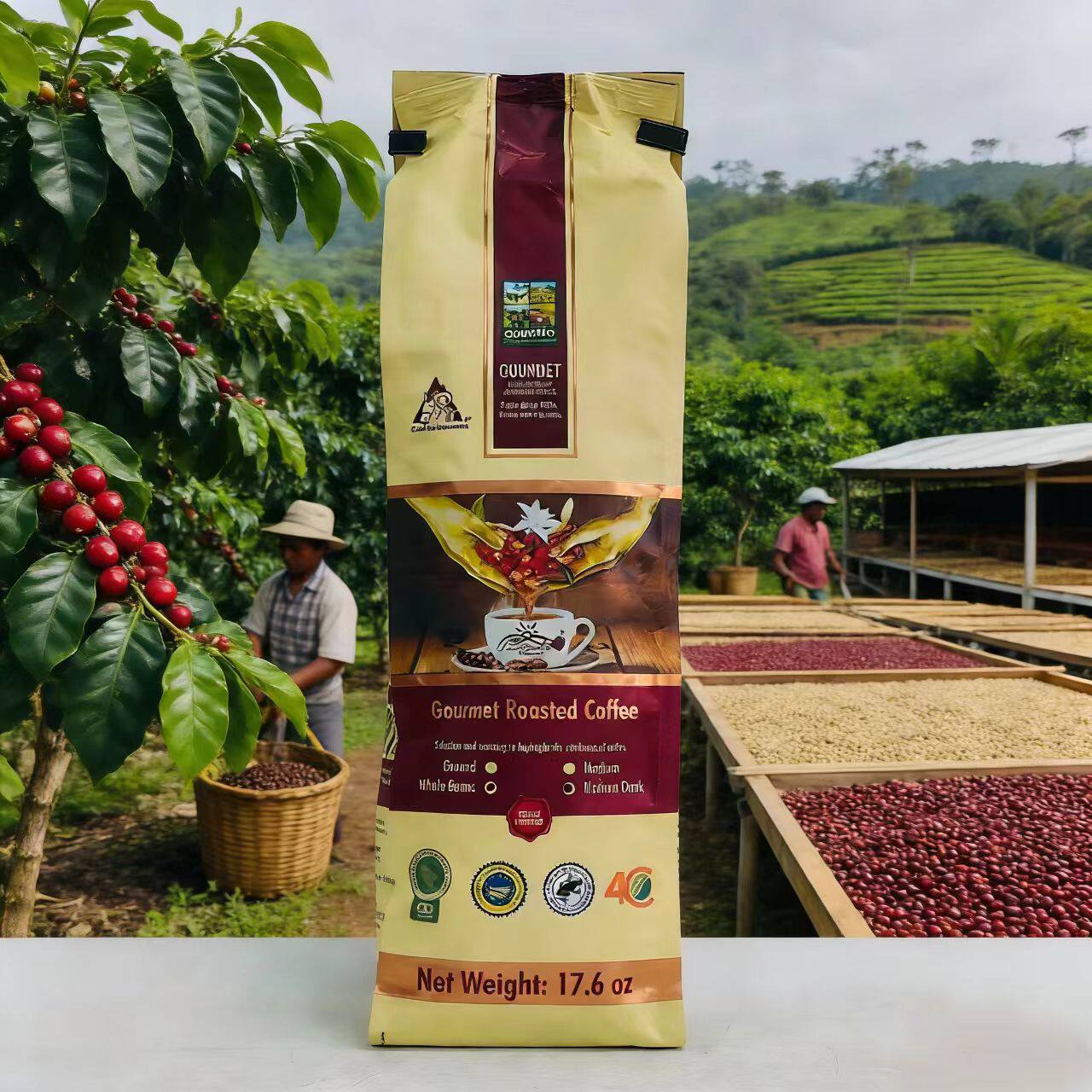 【2026/4/15到期】莫雷利亚卡杜拉臻研咖啡豆500g