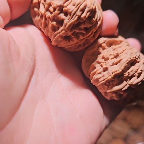 吊坠文玩核桃42磨盘