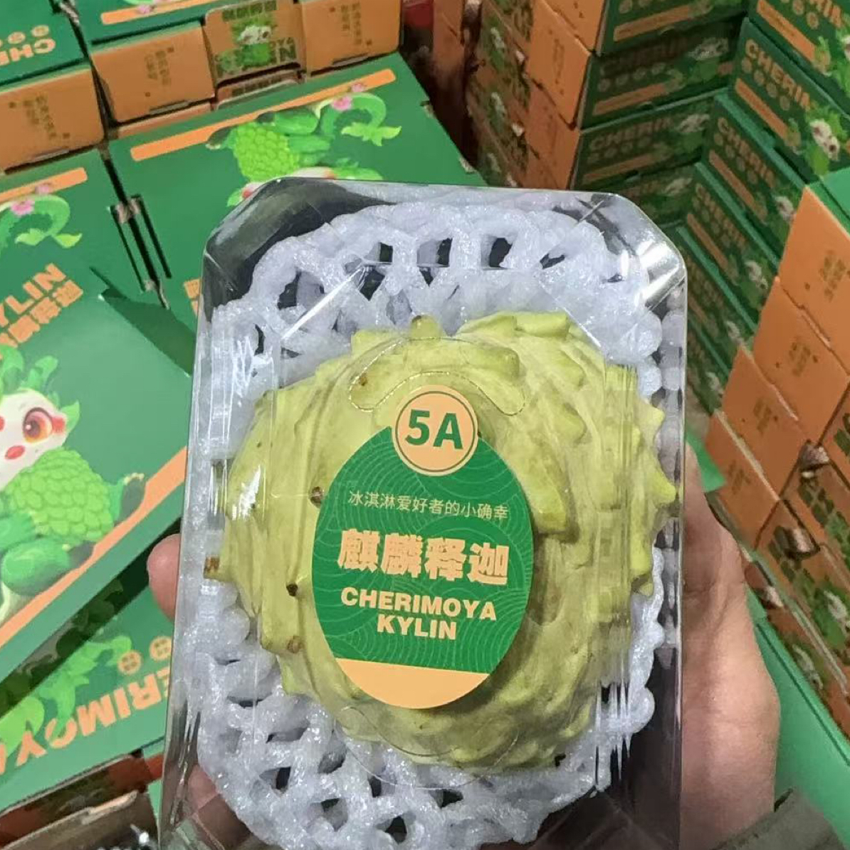 麒麟释迦果一颗特级果