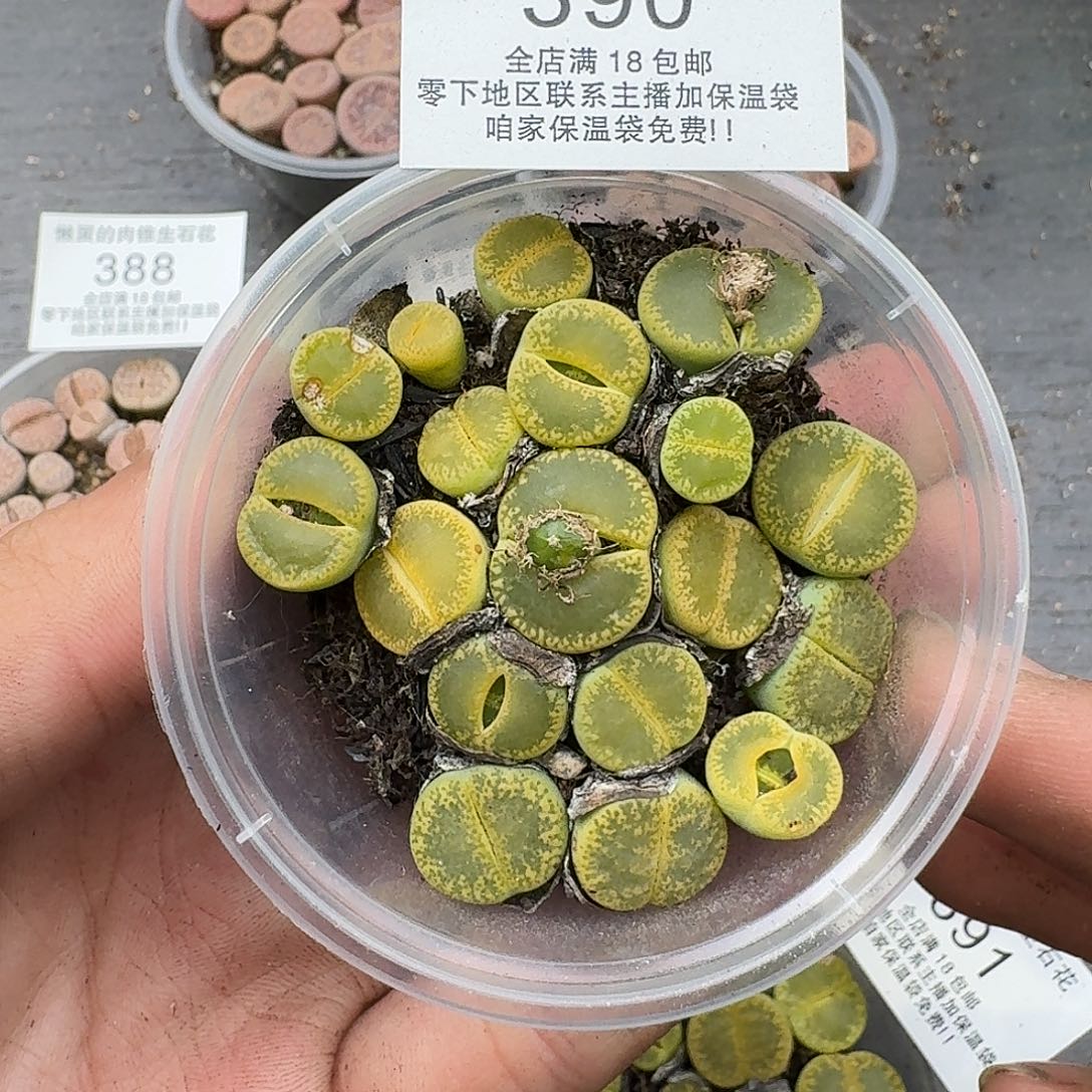 390满18包邮保温袋联系客服