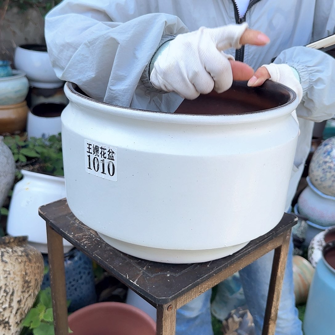 紫砂花盆王嫂花盆0613-1010口30高20