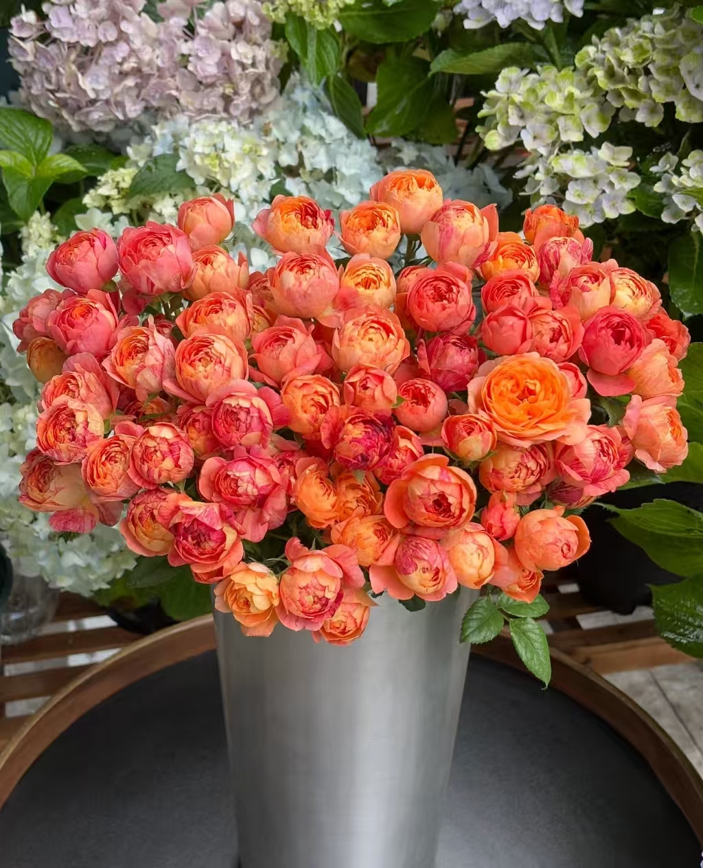 【彩蝶果汁玫瑰】云南产地直发 | 新鲜采摘