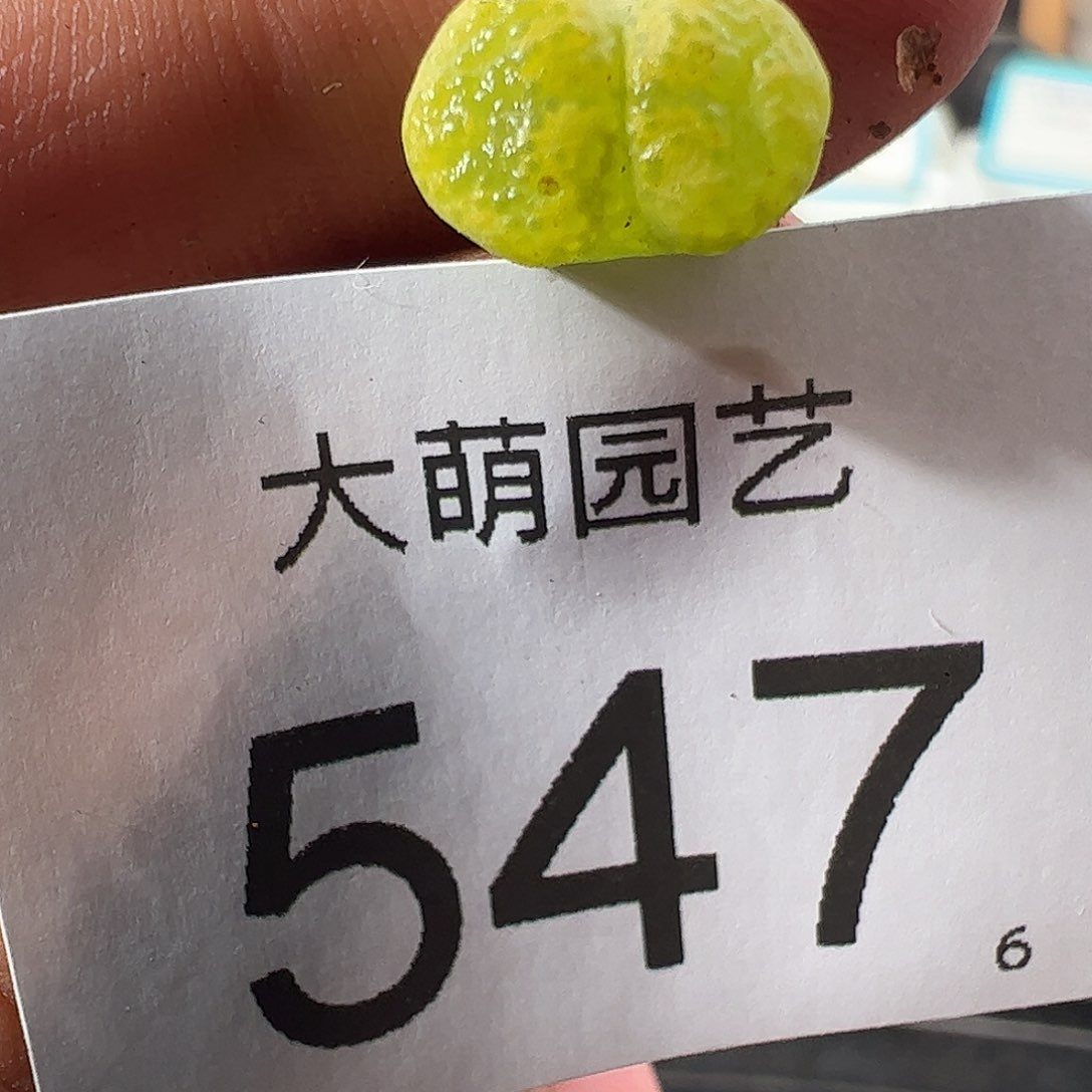 0000547 一物一拍……