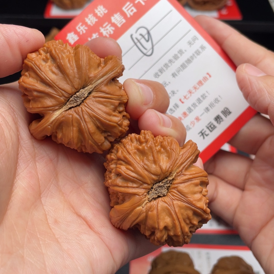文玩核桃把件白狮子41