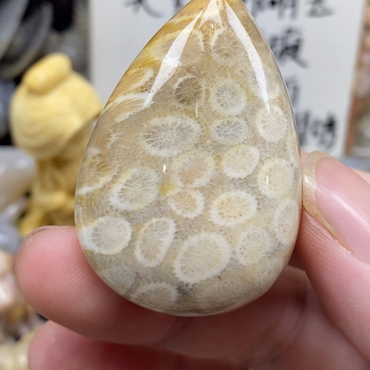 硅化珊瑚（珊瑚玉）未镶嵌颈饰