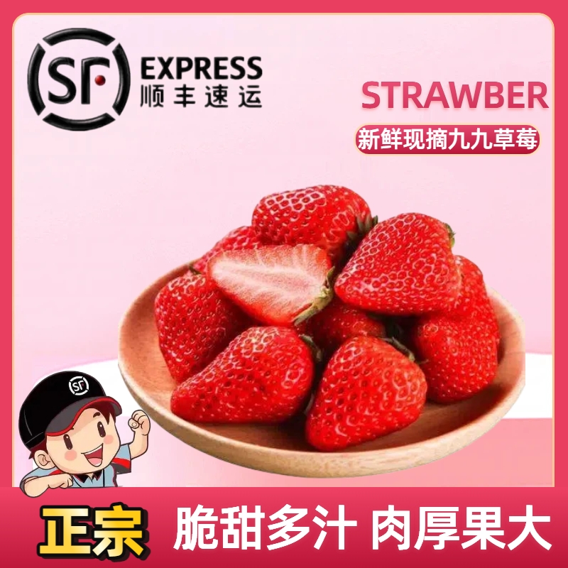 正宗丹东九九草莓99草莓红颜新鲜香甜草莓核心产区现摘顺丰空运