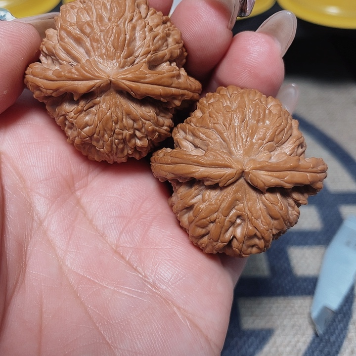 文玩核桃把件转**子白狮子40