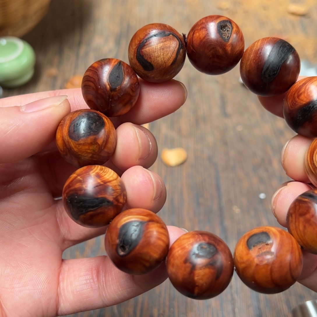 太行崖柏陈化太行