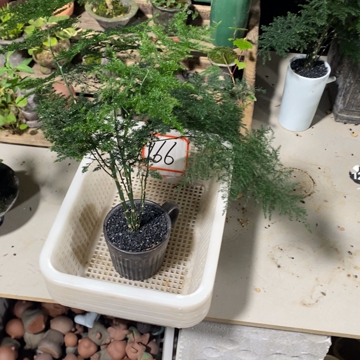 不***子以实际为准退款拉黑拉黑166