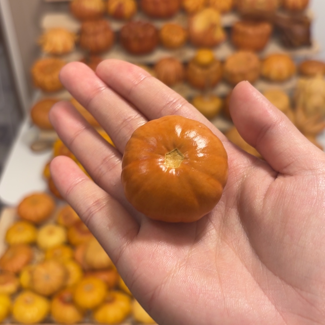 卡4.1小西红柿干货