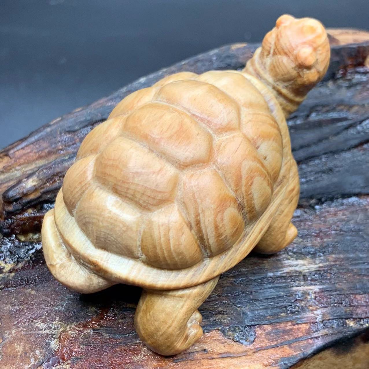 雷击木琥珀木明丁老料富甲天下手把件满油全透手工小乌龟