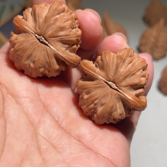 文玩核桃吊坠白狮子