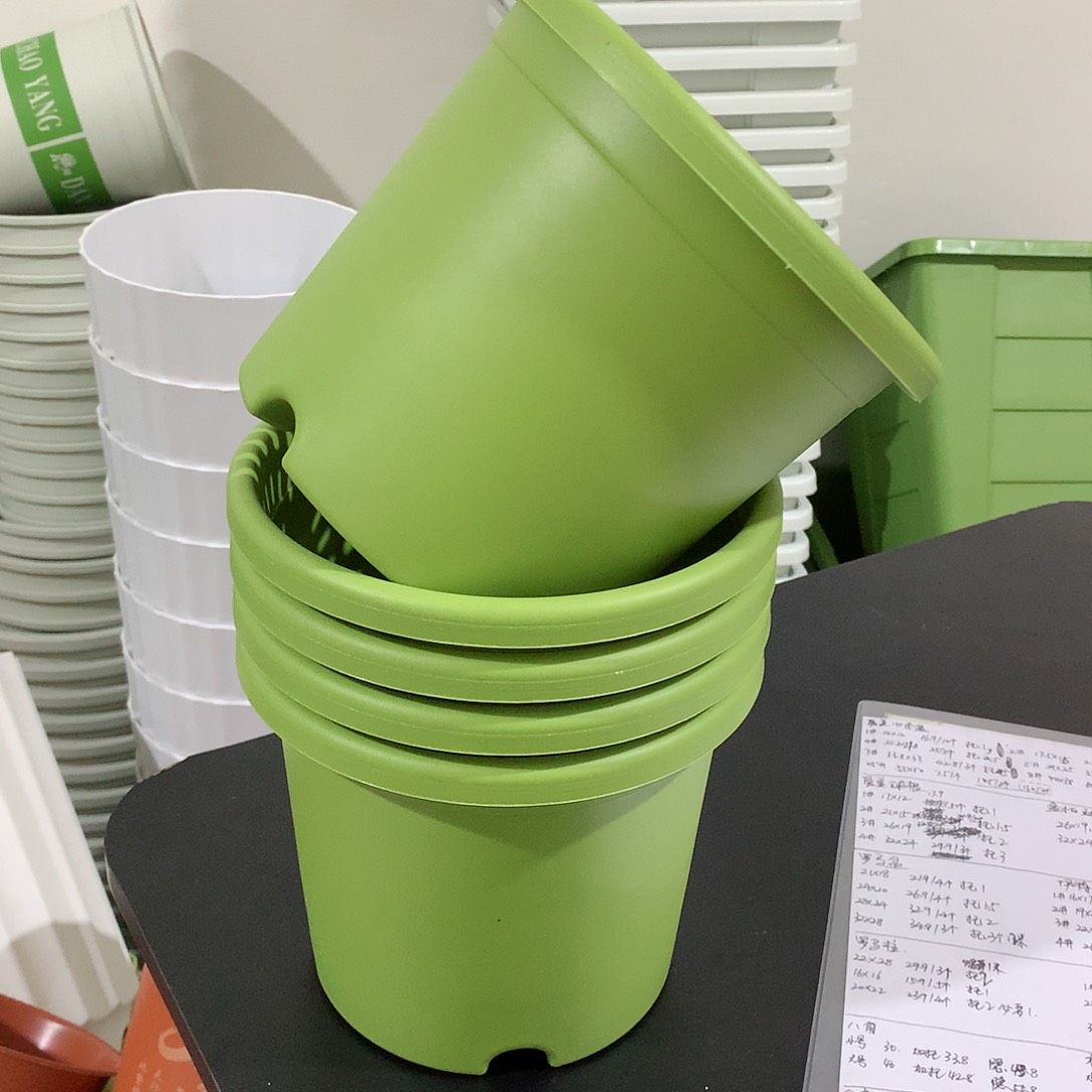 树脂四季口17果绿10个无托