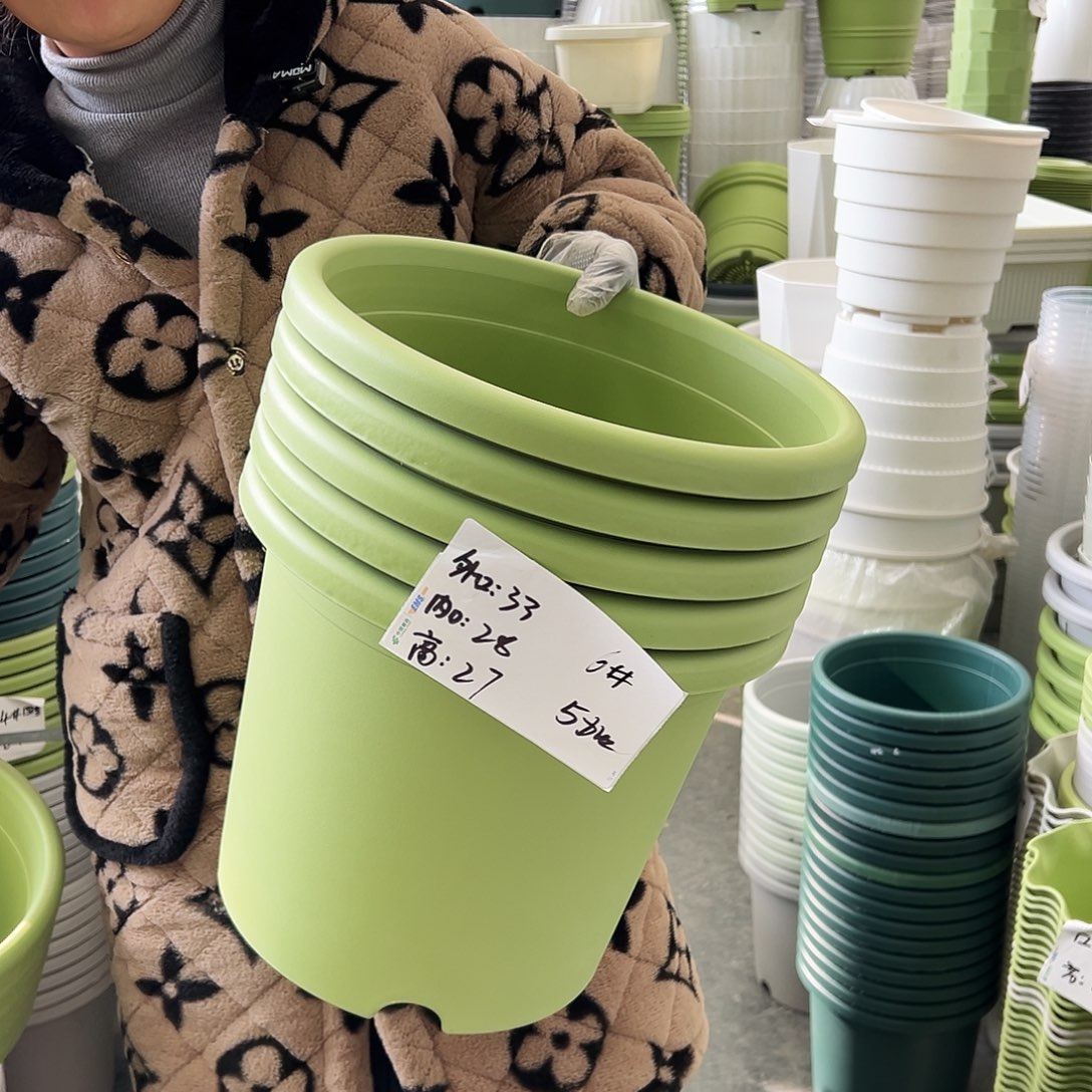 四季盆6#果绿色5个无托