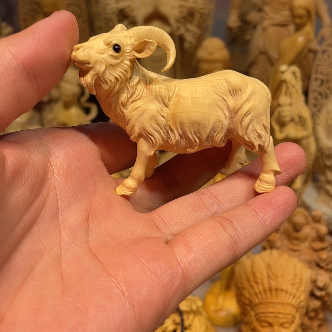 黄杨木黄杨木领头羊