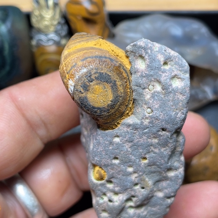 石材纯天然原石奇石328