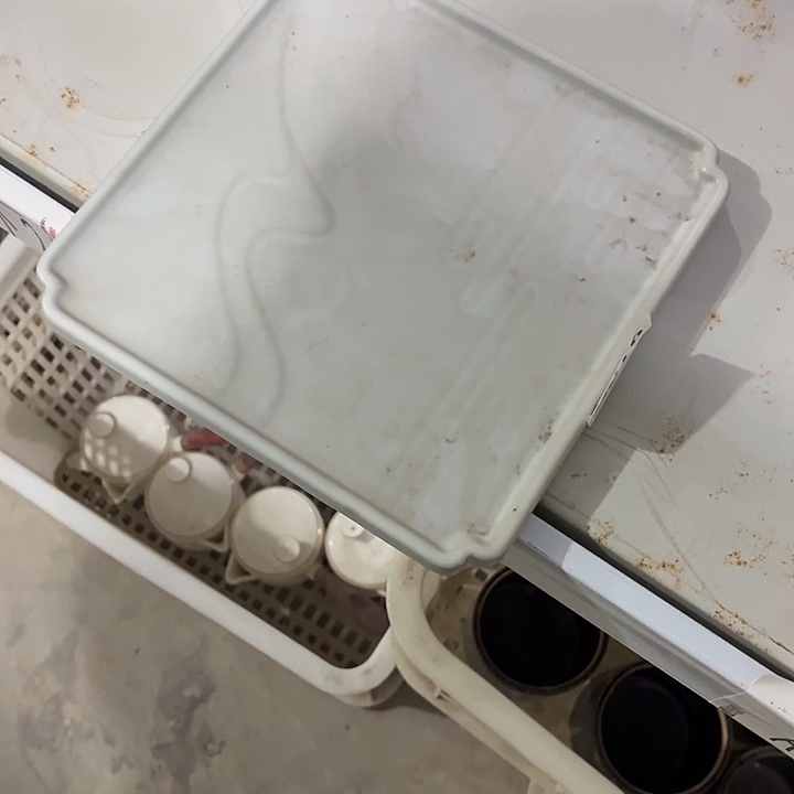 茶具微暇，介意勿拍