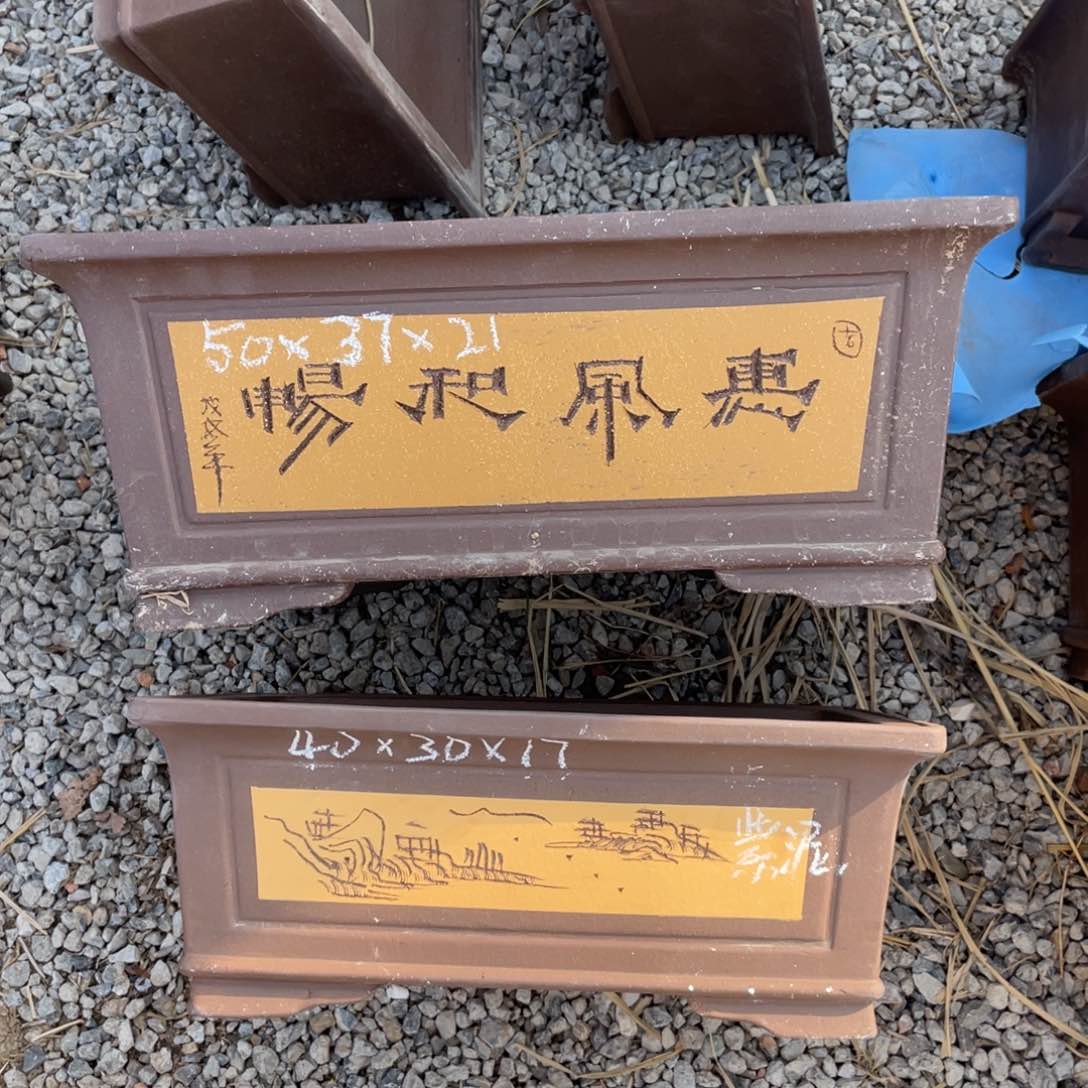 紫砂紫泥 一套 黄