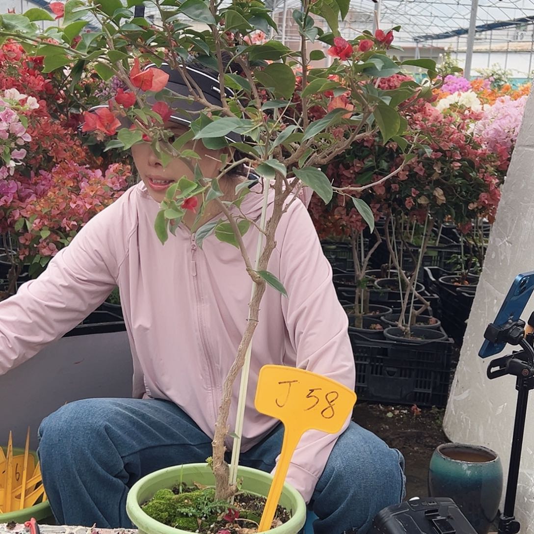 彩***@大部分花苞少量开放J58不甜西瓜