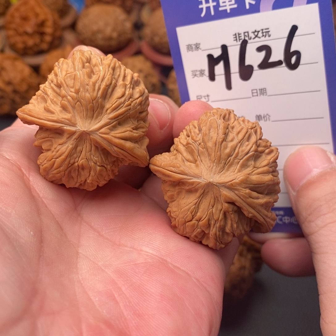 文玩核桃把件39山地磨龟背