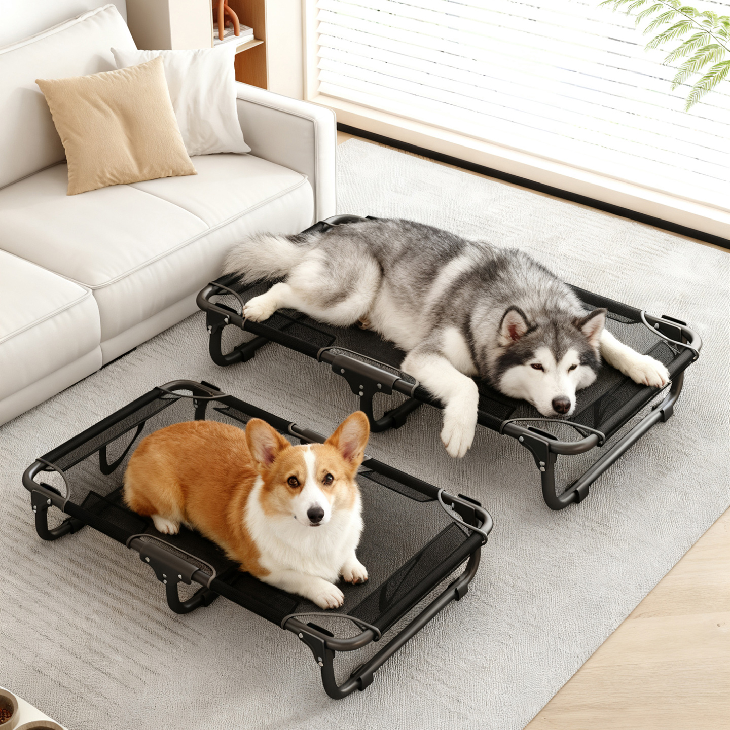 【免安装可折叠】四季通用狗床特斯林网布透气耐磨狗狗行军床宠物床