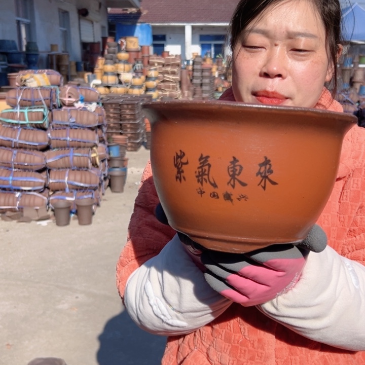 21正紫气东来花盆花盆花盆花盆