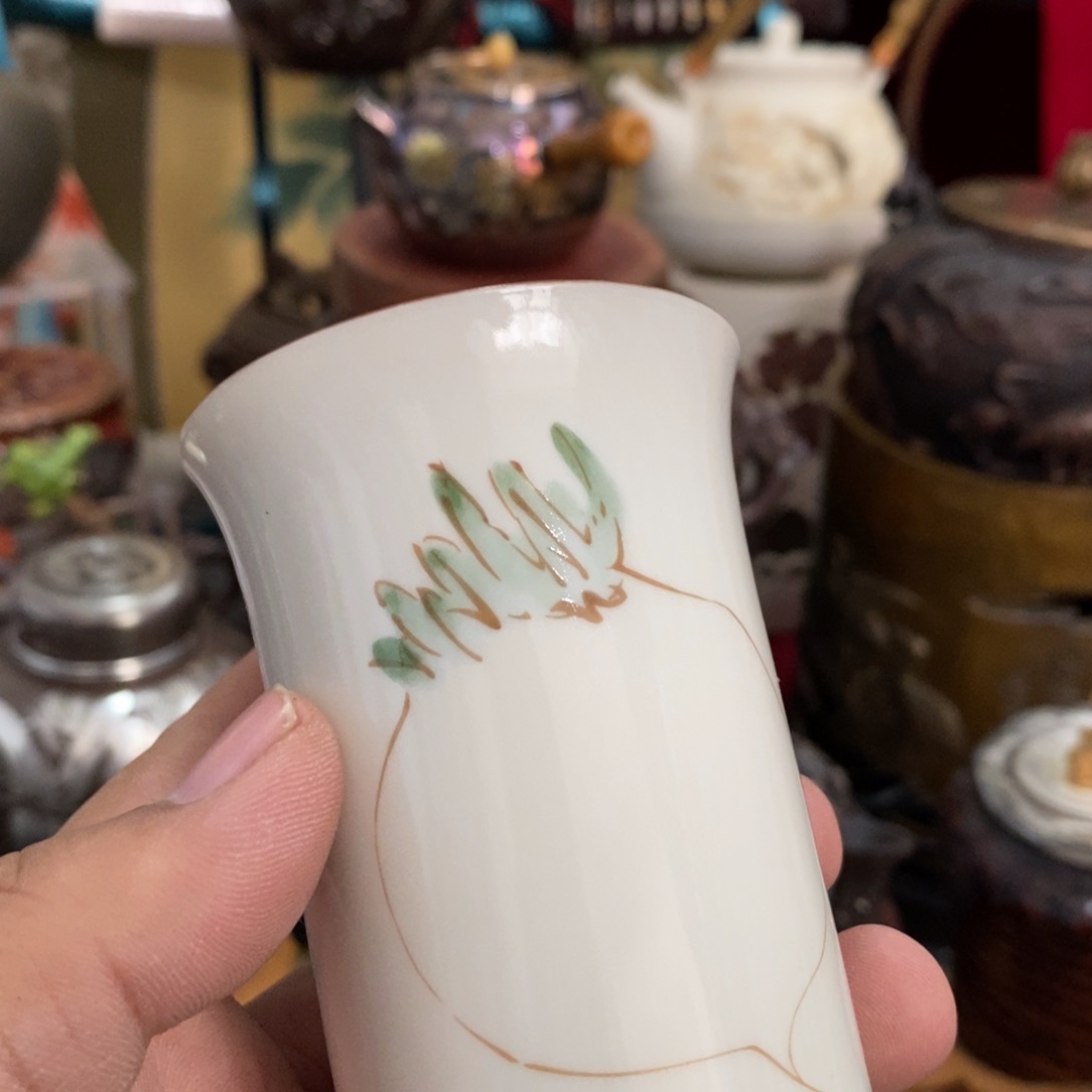 茶盏主播推荐好物