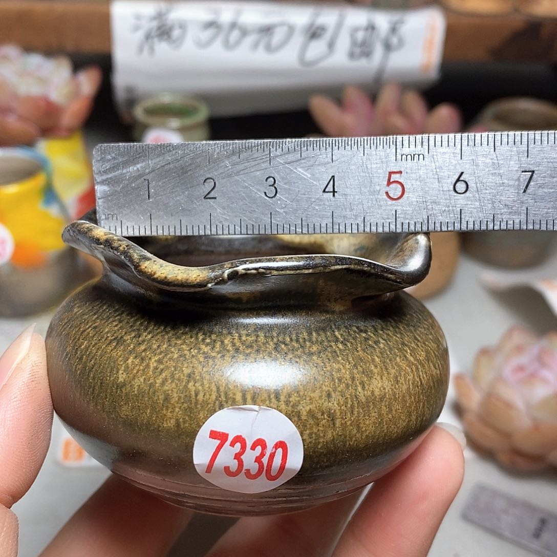 红陶拍5送一个小