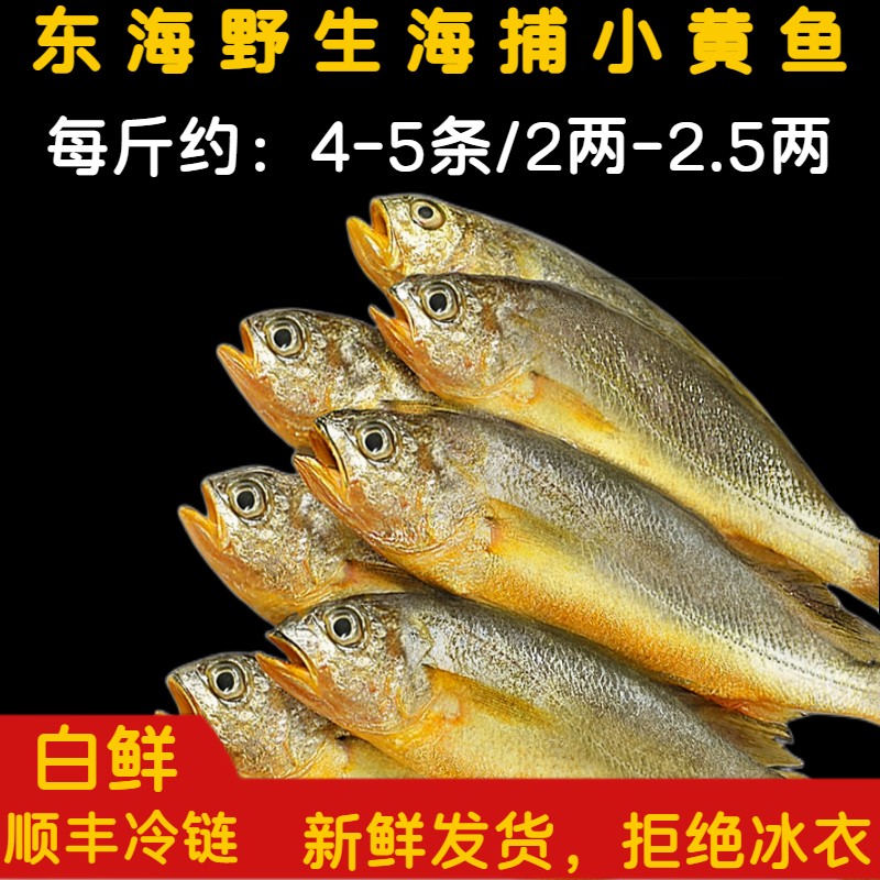 《东海码头》东海野生海捕小黄鱼 3斤顺丰 新鲜冷链   规格1斤4-5条
