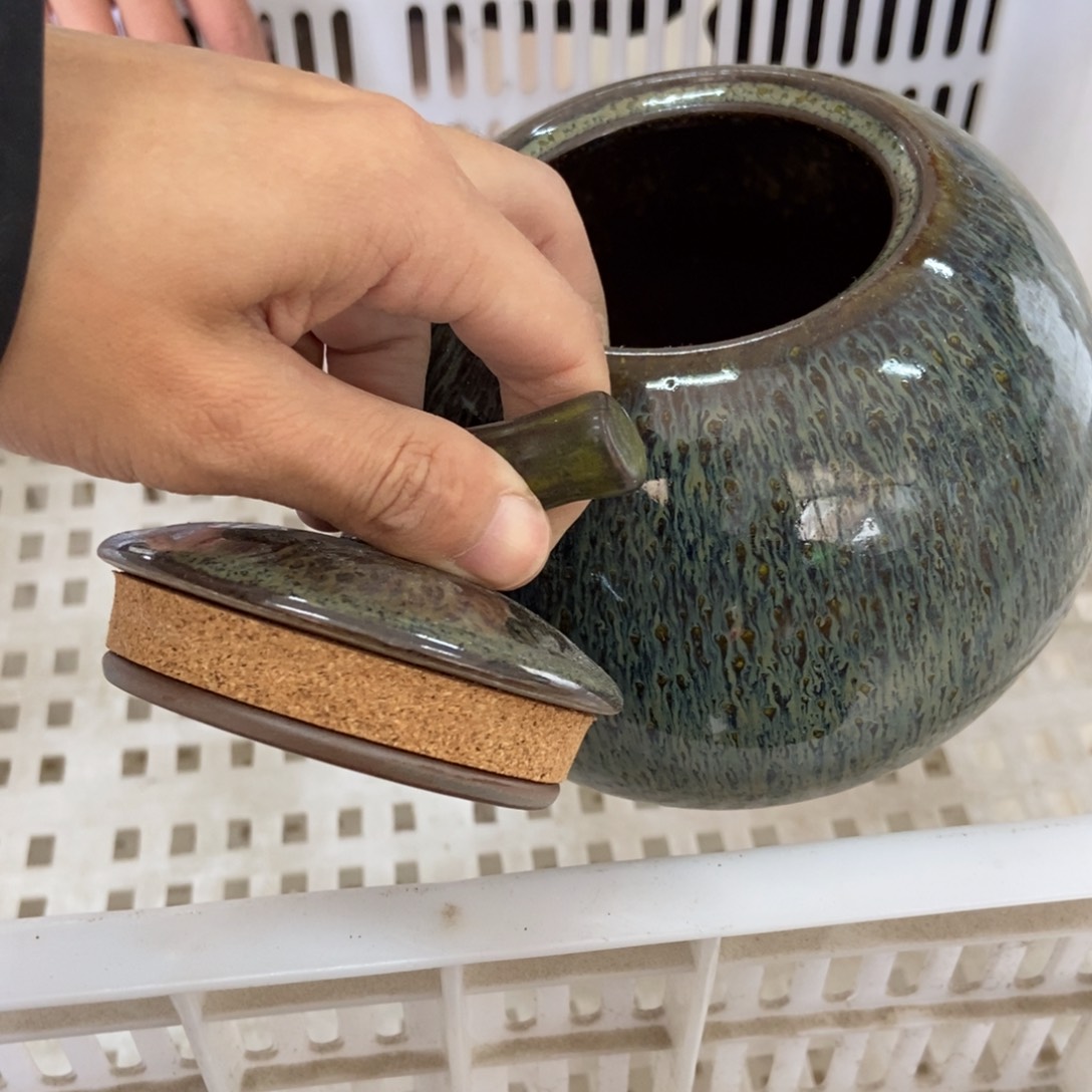 杯直播链接直播链接