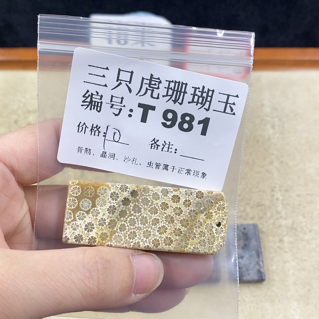 硅化珊瑚（珊瑚玉）1未镶嵌?***小