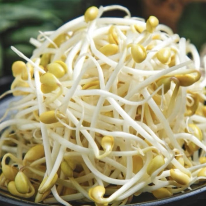新鲜黄豆芽：250g