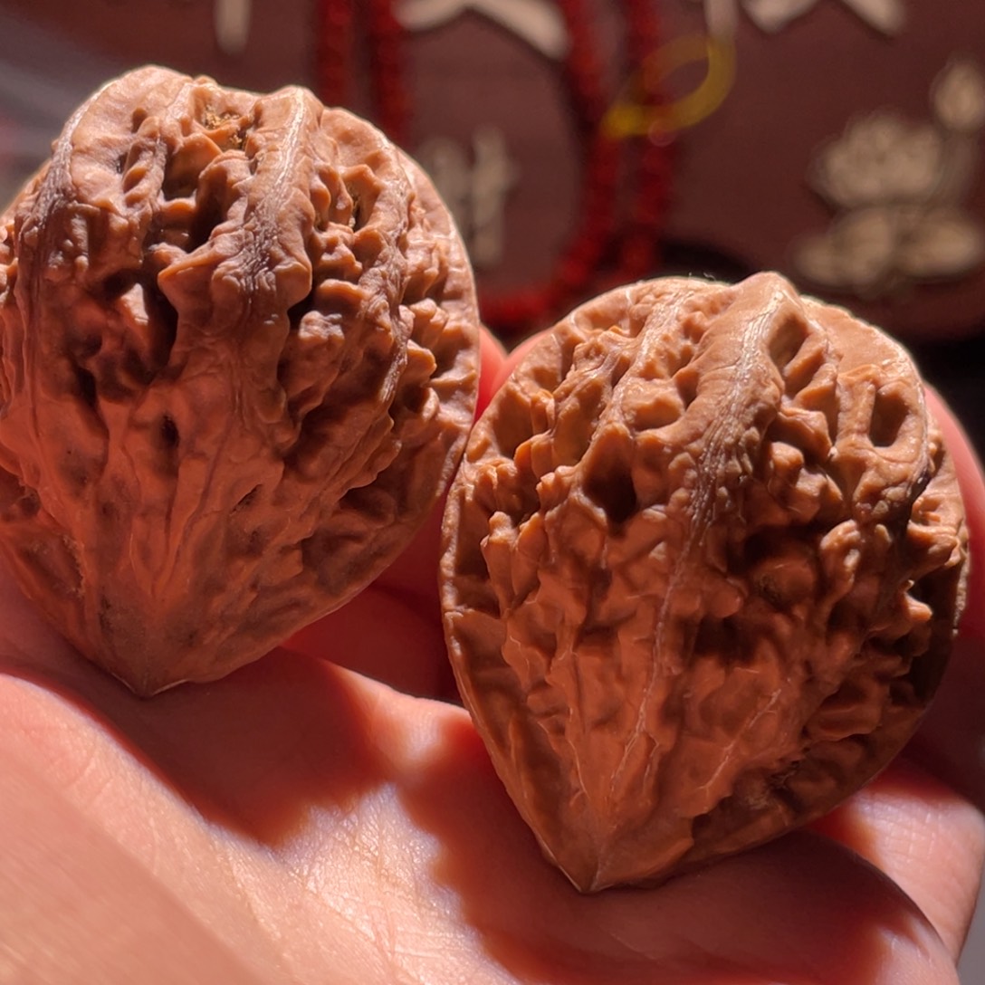 文玩核桃把件九哥楸核9