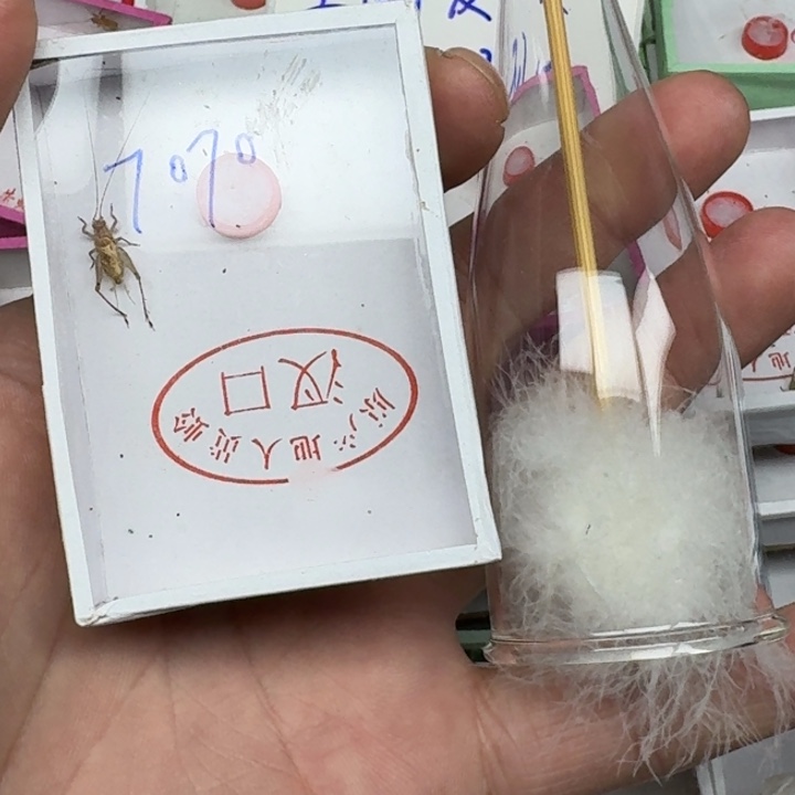勤***蟋蟀11112222222222